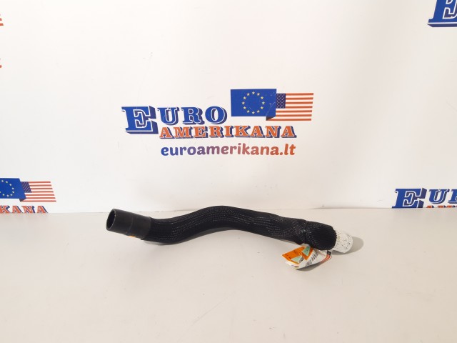 Viršutinė žarna